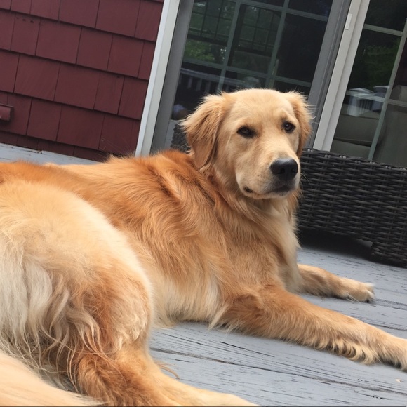 Meet your Posher, Chrischristine - Picture 1 of 1